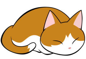 丸くなって眠る猫のイラスト