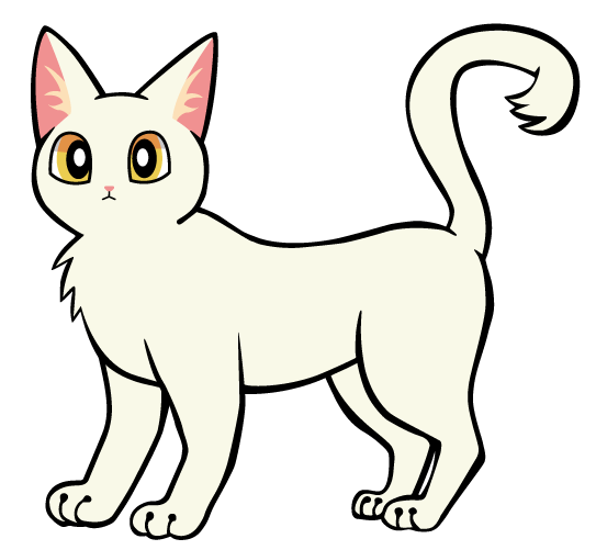 猫のイラスト白猫